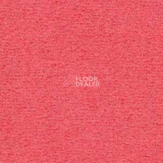 Ковролин Radici Nexus Geranio 8278 фото 1 | FLOORDEALER